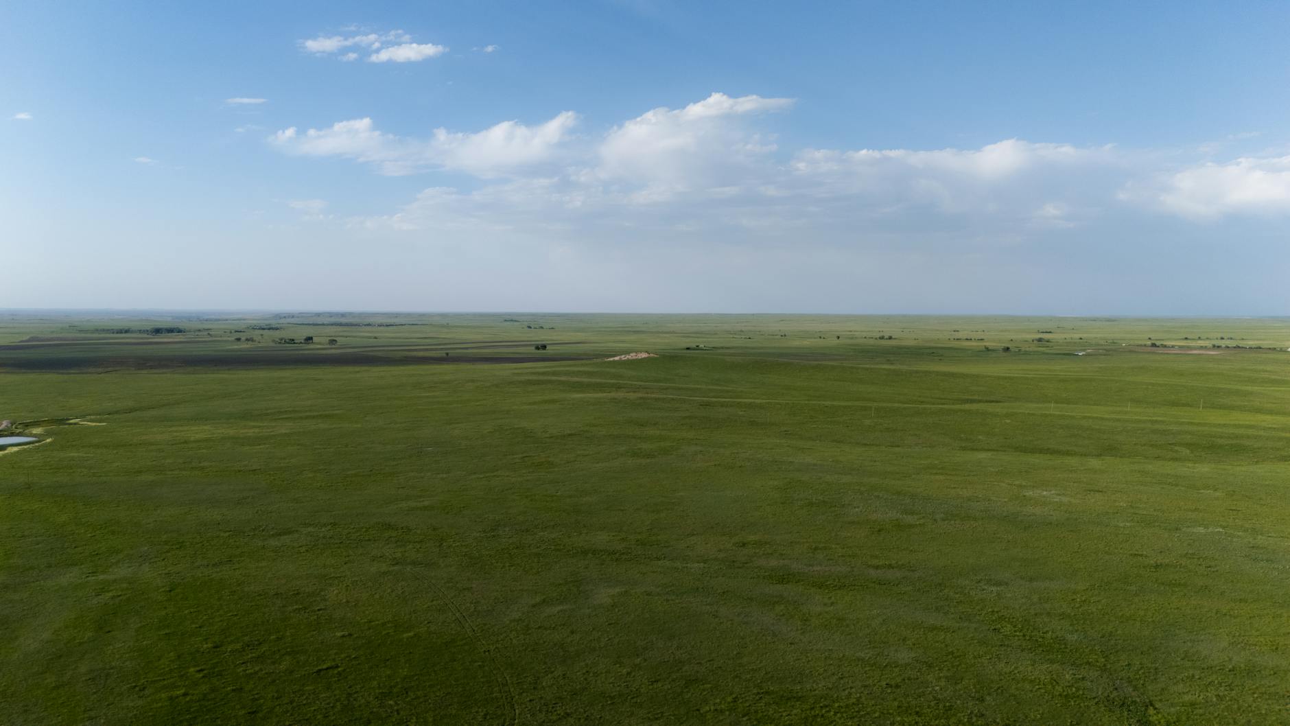 Evaluating Legal Options and Company Responses to Genealogy Breaches