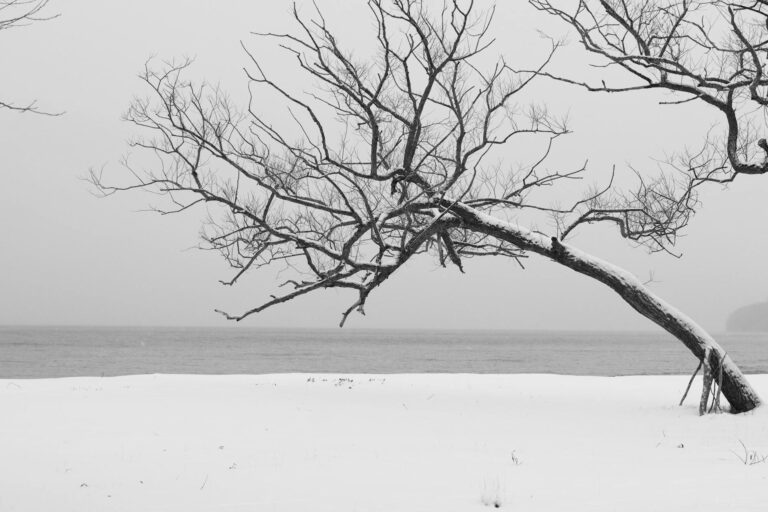 How to Check If Your Address Was Leaked Online - Featured image