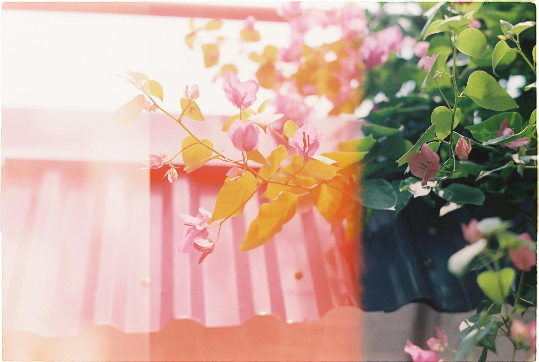 How to Check If Your Photos Were Leaked Online - Featured image