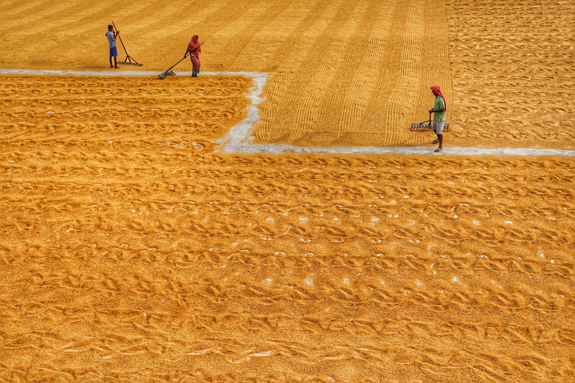 The Psychology Behind Pretexting and Manipulation Tactics