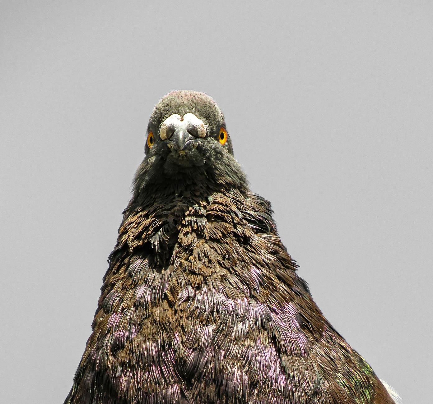 What Are the Most Common Signs Your Smart Watch Has Been Hacked?