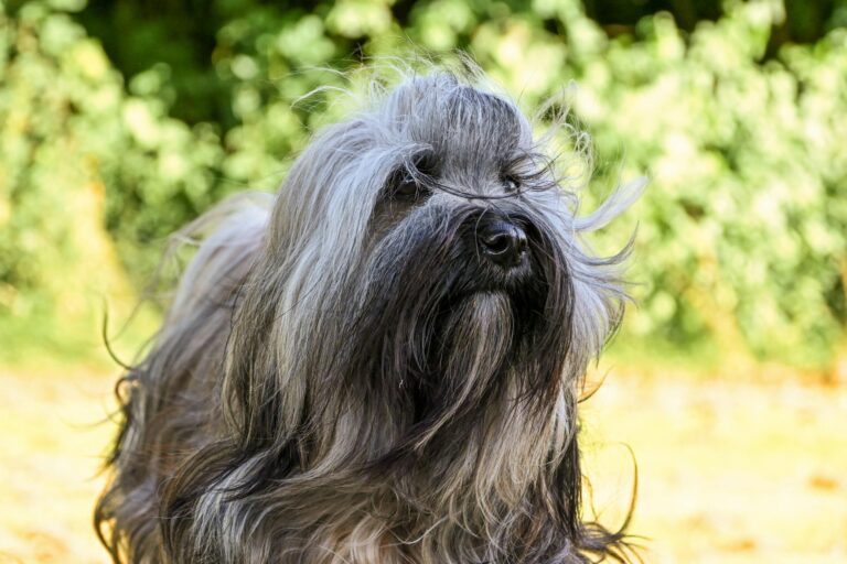 What to Do If Your Daycare Provider Is Breached - Featured image