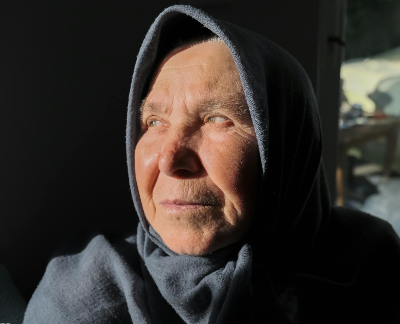 Why Are Elderly Parents Particularly Vulnerable to Scams?