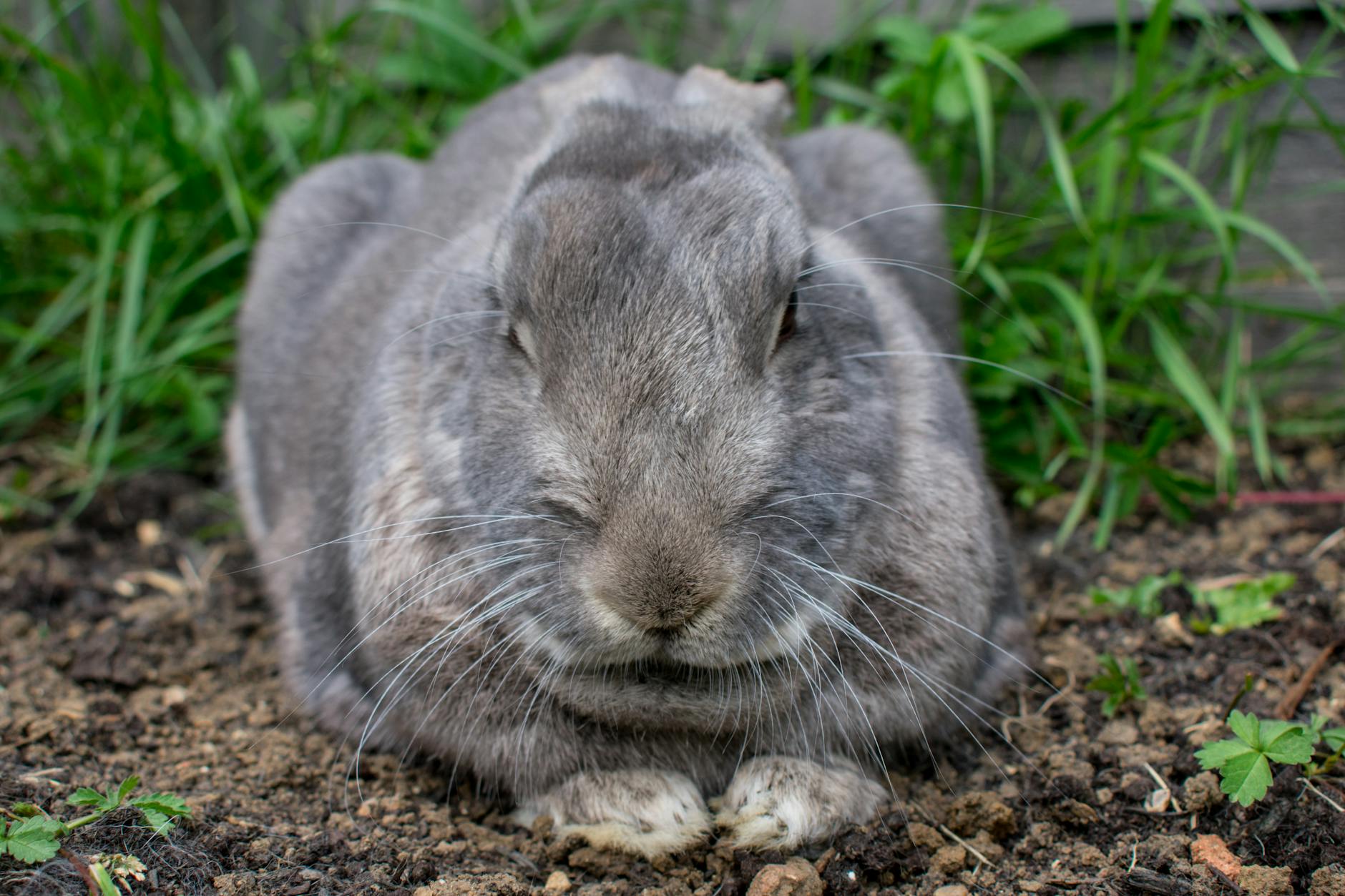 Why Are Home Security Systems Vulnerable to Hackers?