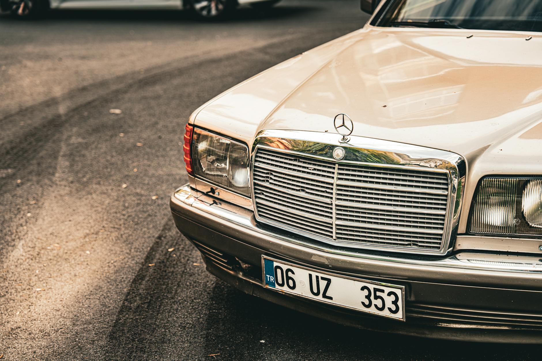 Why Is Professional License Information a Target for Identity Thieves?