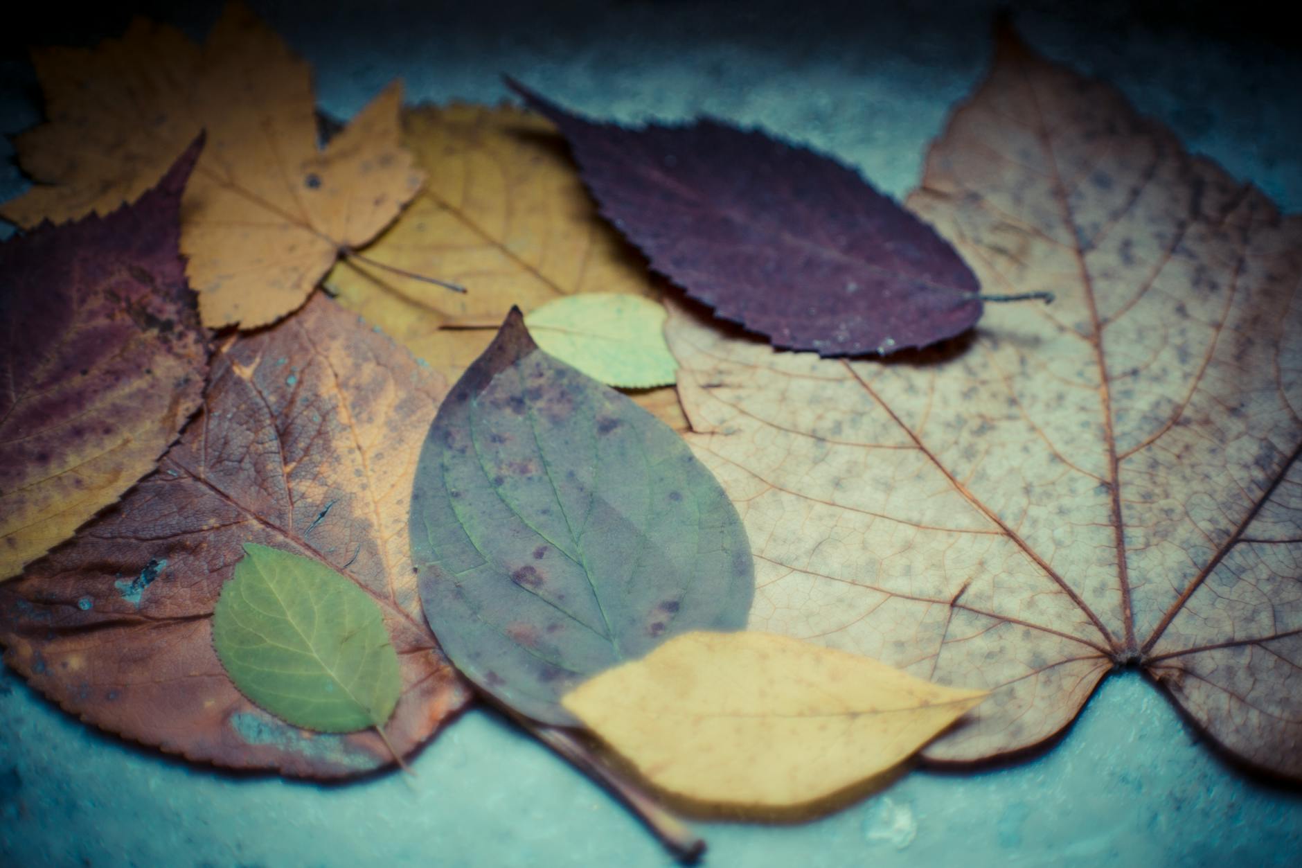 What Is React2Shell and Why Did It Leave LexisNexis Exposed?