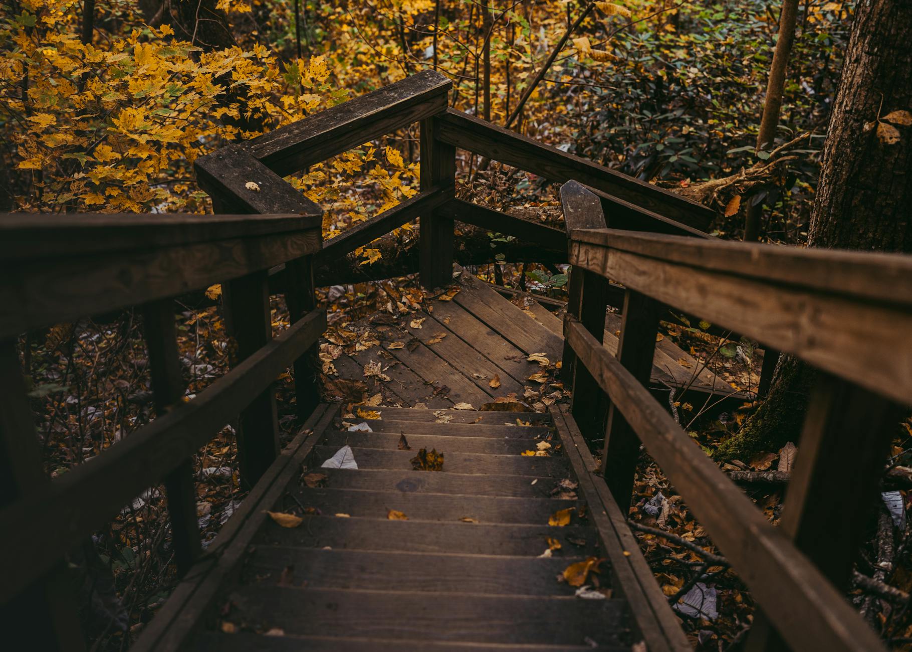 Immediate Steps to Take After Discovering a Compromise