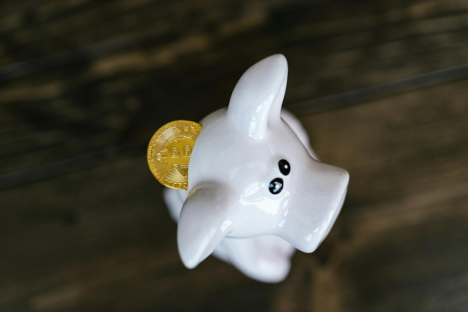 Monitor Bank and Investment Accounts Directly for Unauthorized Activity