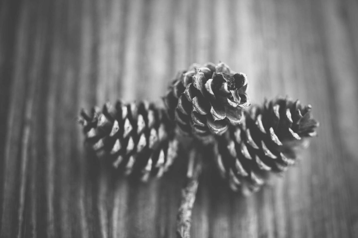 Passkeys Represent the Future of Phishing-Resistant Authentication