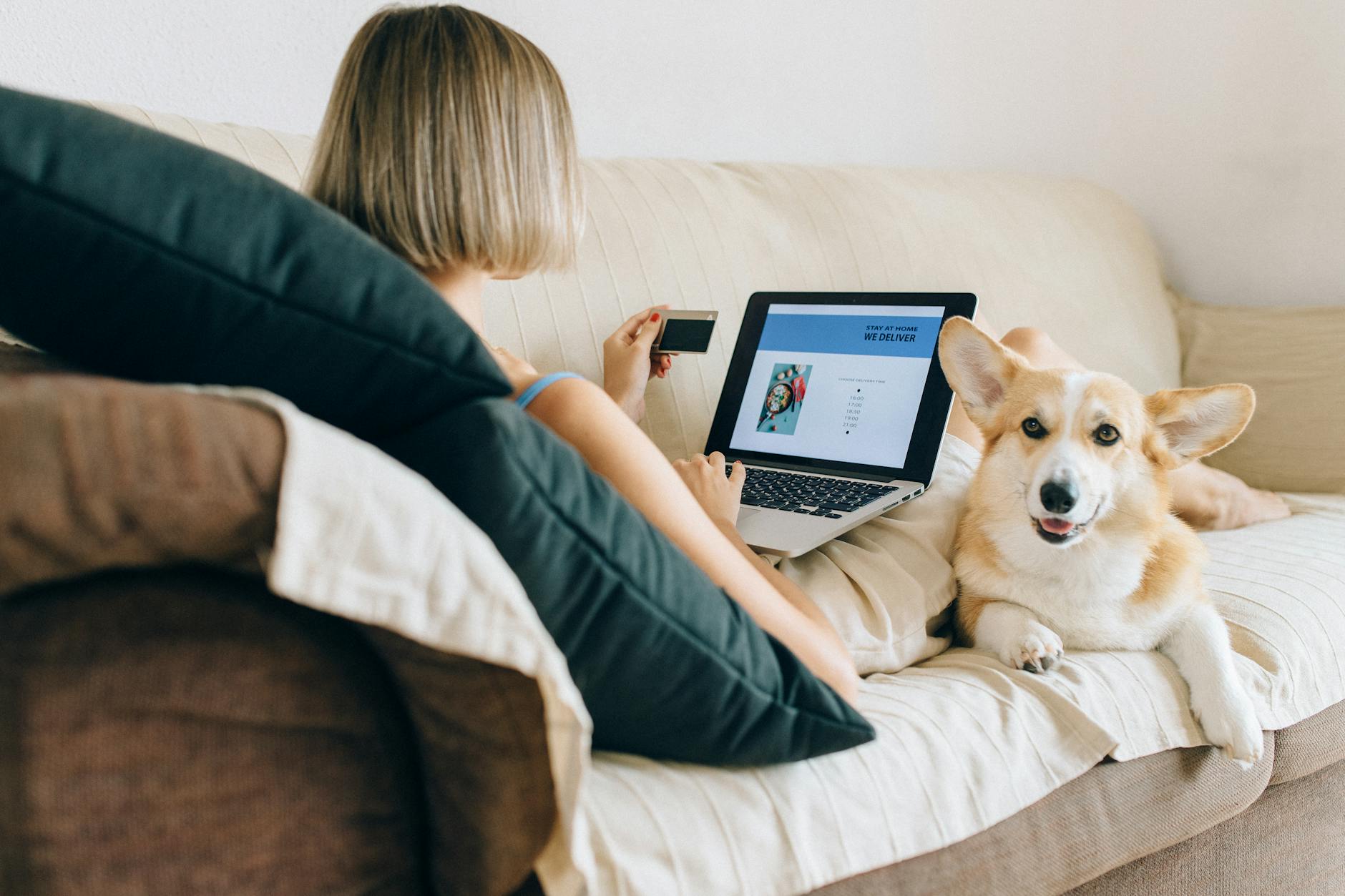 Signs Your Pet Insurance Account Has Been Hacked - Featured image