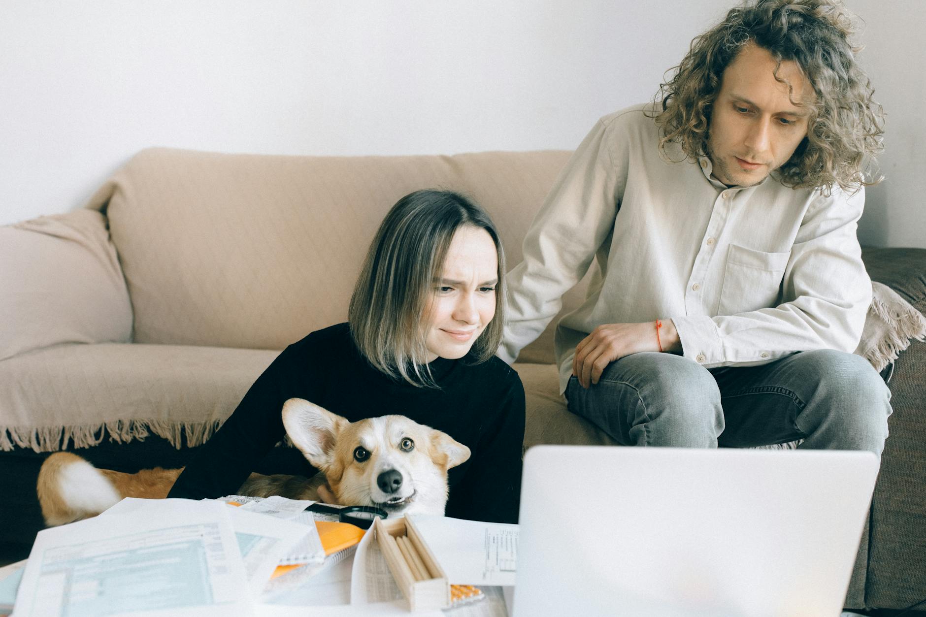 What Happens When Your Pet Insurance Account Is Compromised?