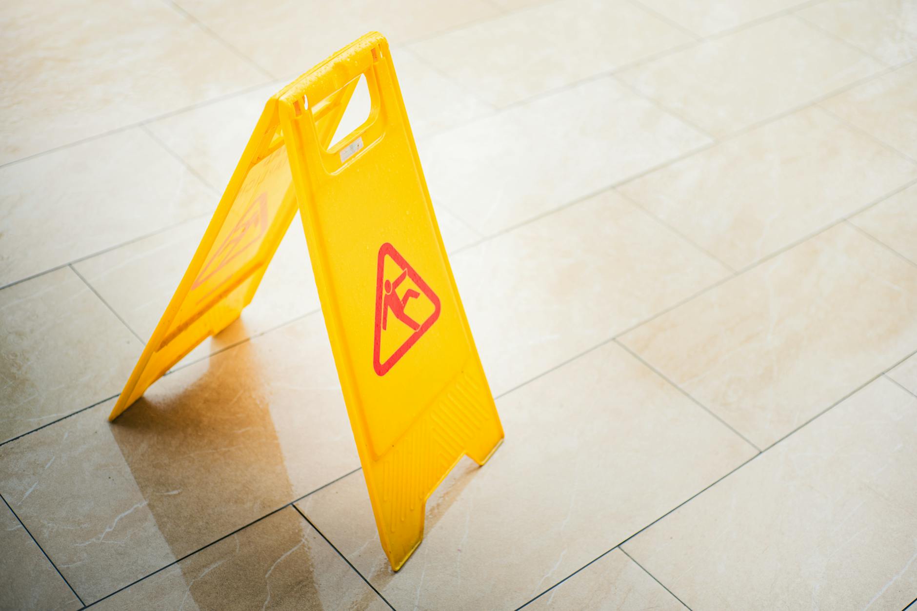 Early Warning Signs of Business Credit Fraud