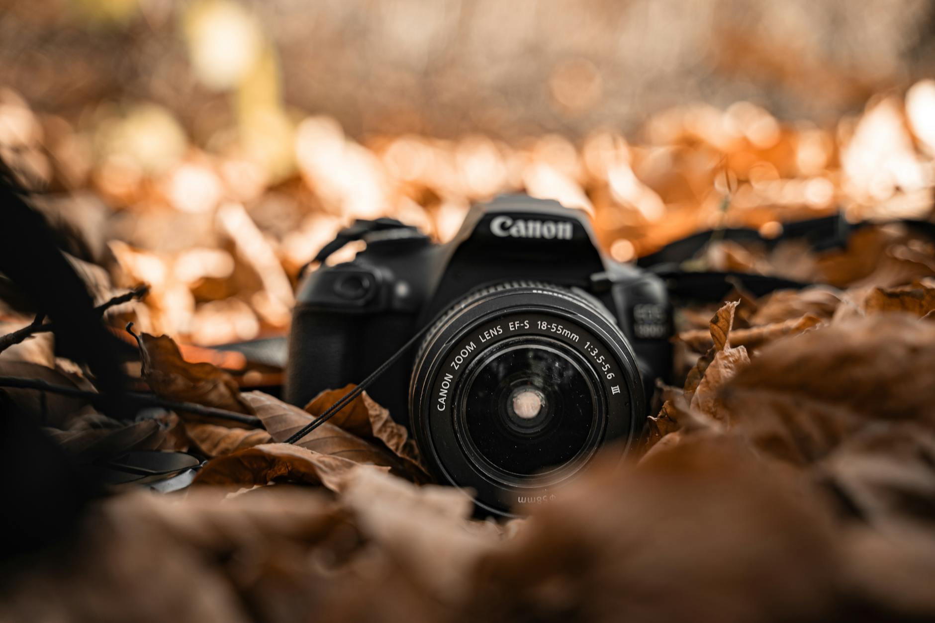 How Do Permission Settings Leave Your Photos Exposed?