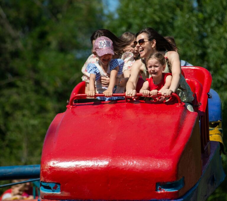 How to Protect Your Theme Park Annual Pass Data - Featured image