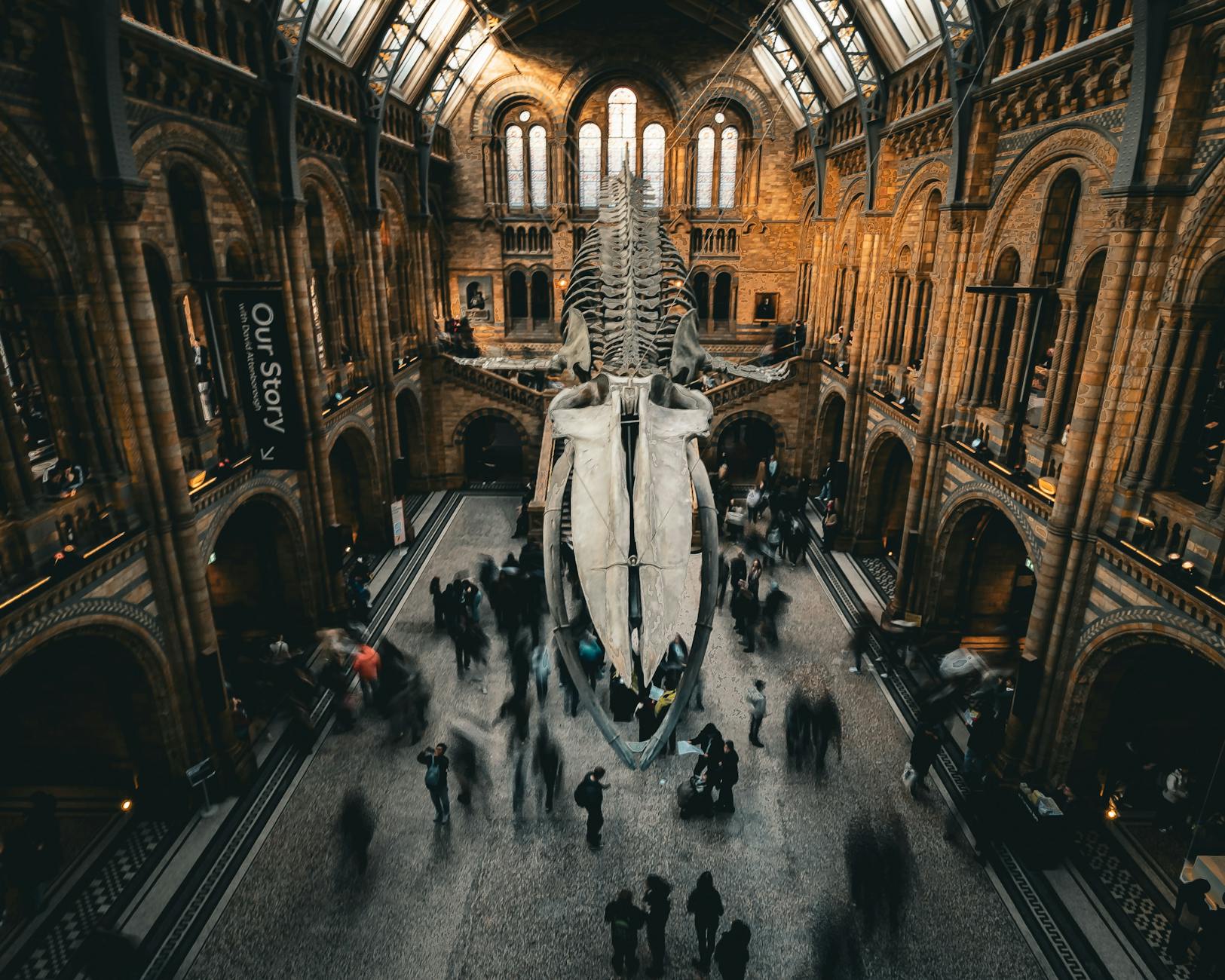 How to Secure Your Museum Membership Account - Featured image