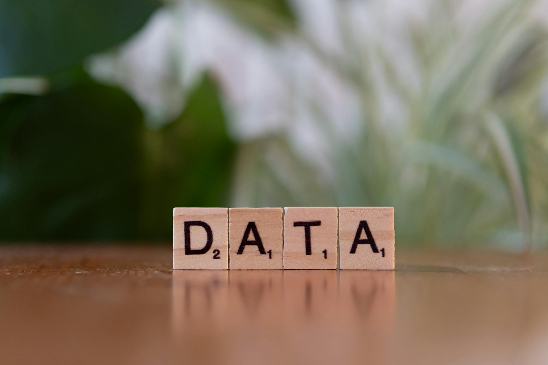 PROFILE INFORMATION CHANGES AND DATA EXPOSURE
