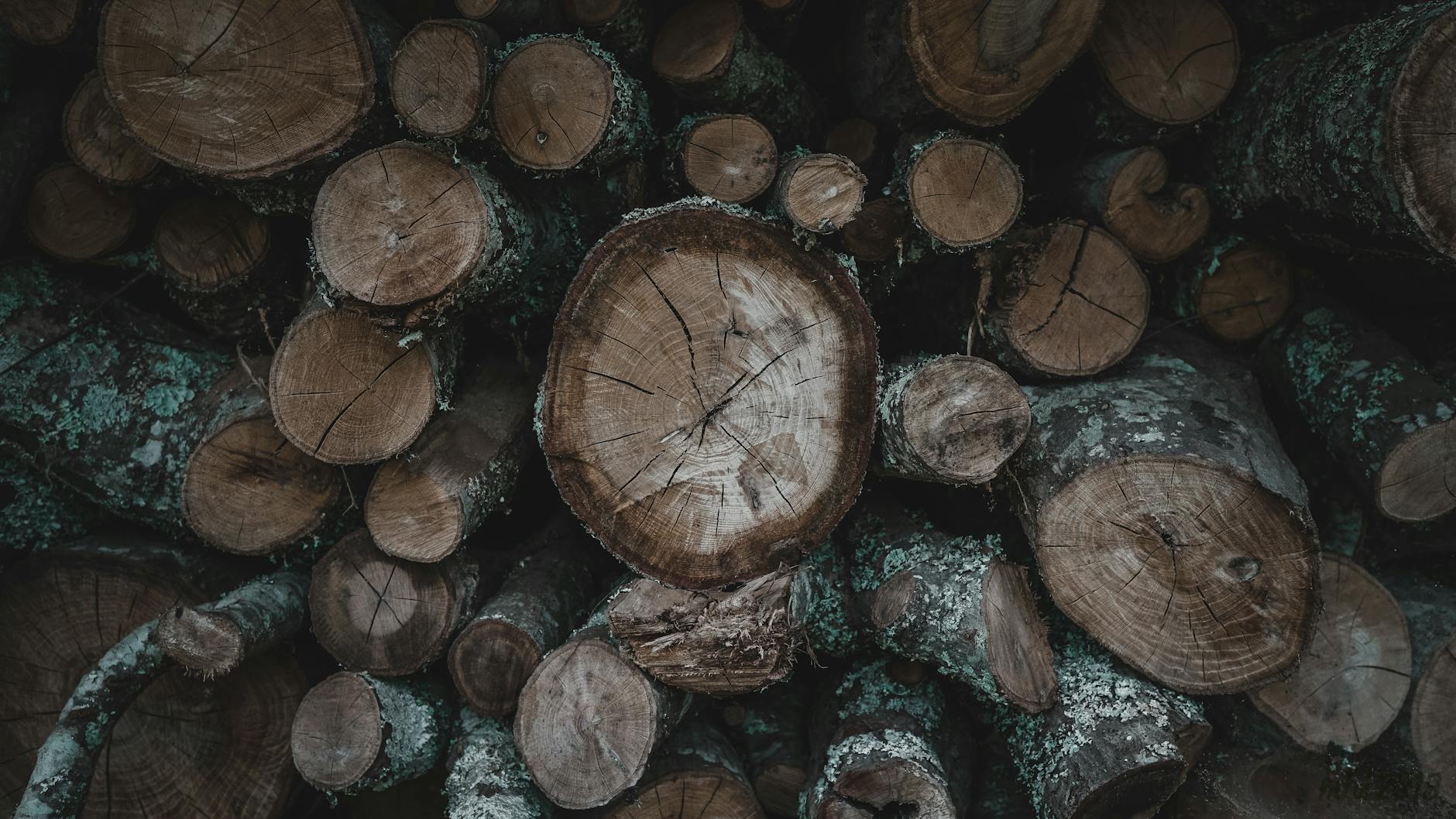 What Audit Logs Reveal About Data Access
