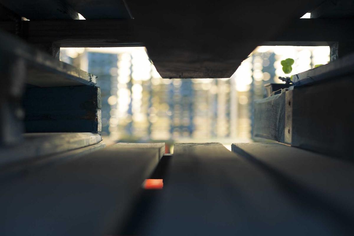 What Should You Do About Fines and Charges Associated with Fraudulent Activity?