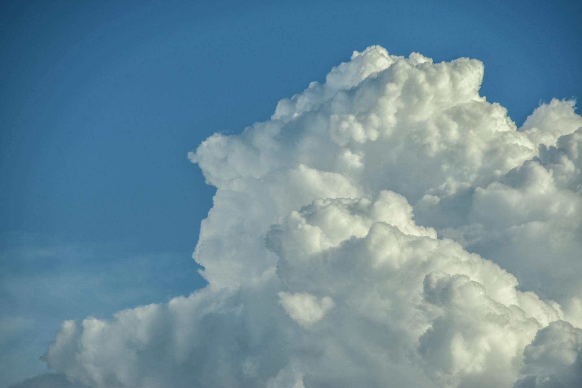 Which Cloud Photo Services Offer the Best Privacy Protection?