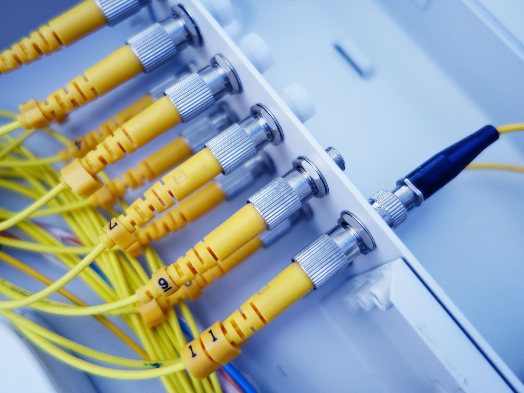 Yellow fiber optic cables plugged into a network server